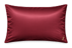 Silk Pillow Case